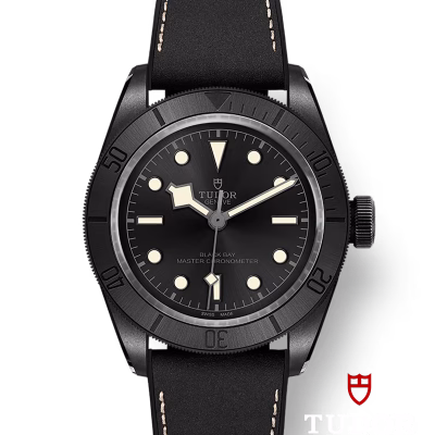 Tudor Black Bay