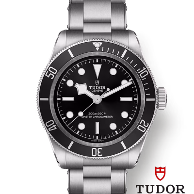 Tudor Black Bay