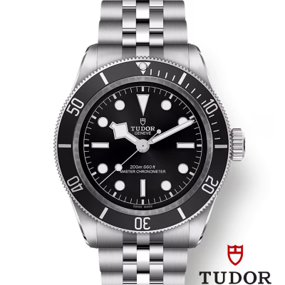 Tudor Black Bay