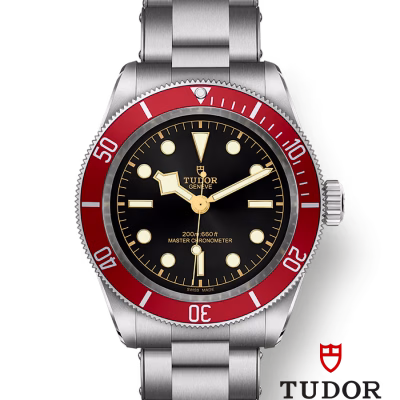 Tudor Black Bay